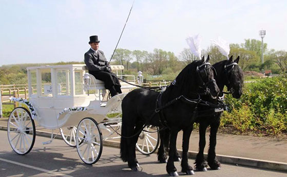 Horse and Carriage Hire